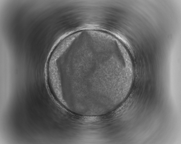 X0000093481382200711020925