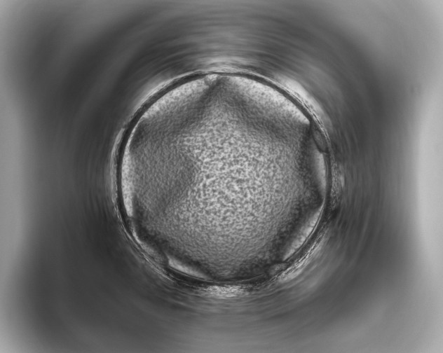 X0000093481384200711020925