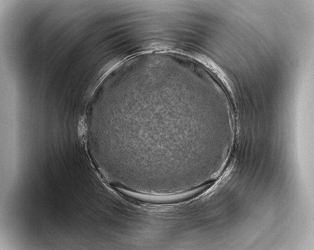 X0000093481385200711020925