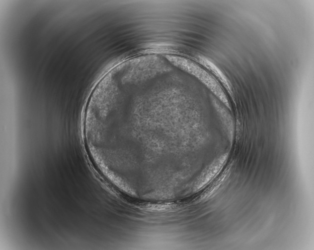 X0000093481386200711020925