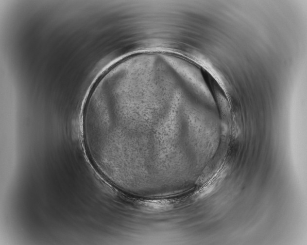 X0000093481388200711020925