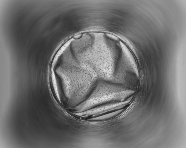 X0000093481390200711020925