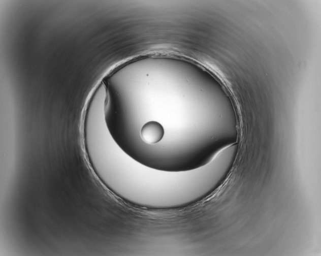 X0000093481392200711020925