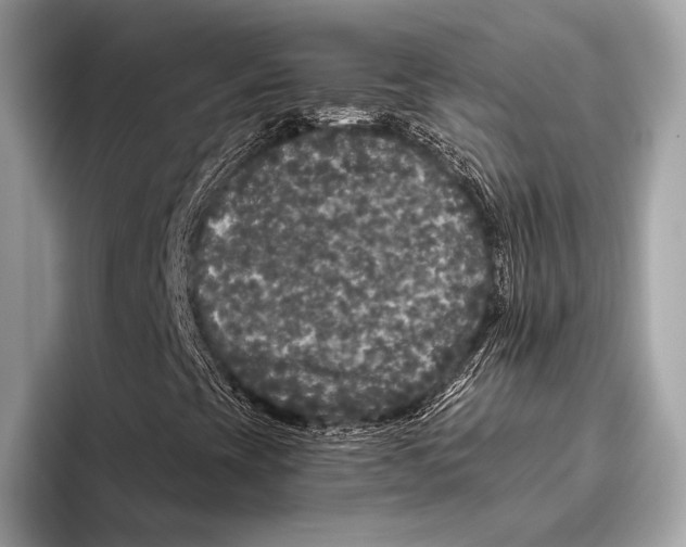 X0000093481393200711020925