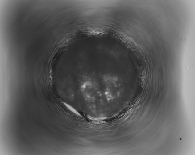 X0000093481394200711020925