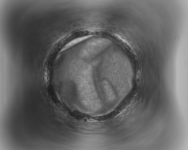 X0000093481398200711020925