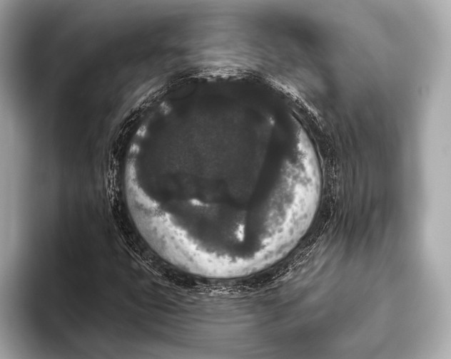 X0000093481399200711020925