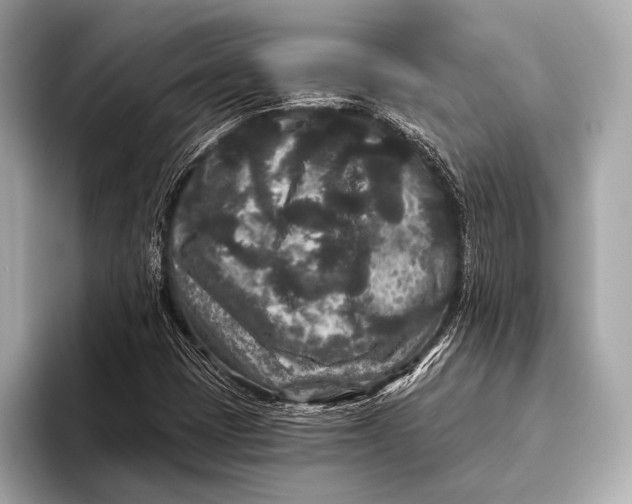 X0000093481401200711020925