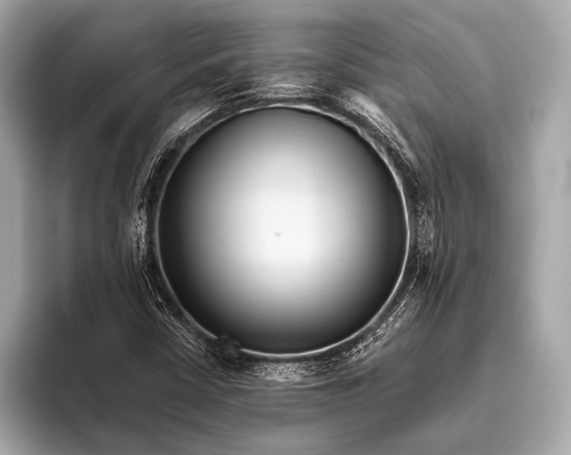 X0000093481402200711020925