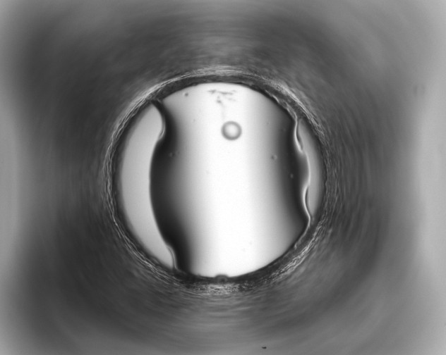 X0000093481406200711020925