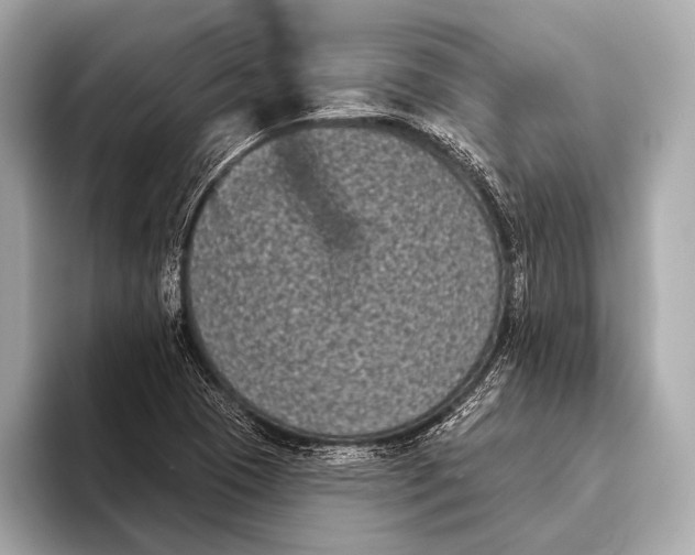 X0000093481409200711020925