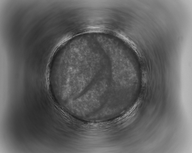 X0000093481411200711020925
