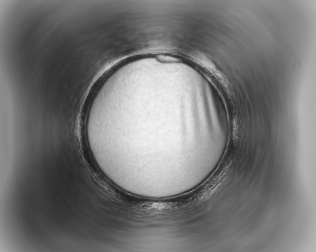 X0000093481412200711020925