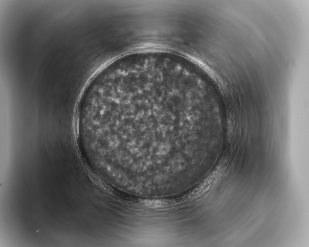 X0000093481413200711020925