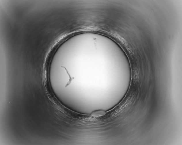 X0000093481414200711020925