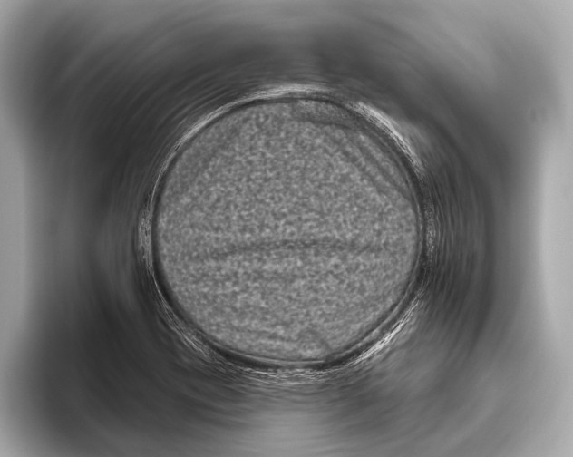 X0000093481417200711020925