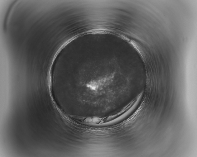 X0000093481418200711020925