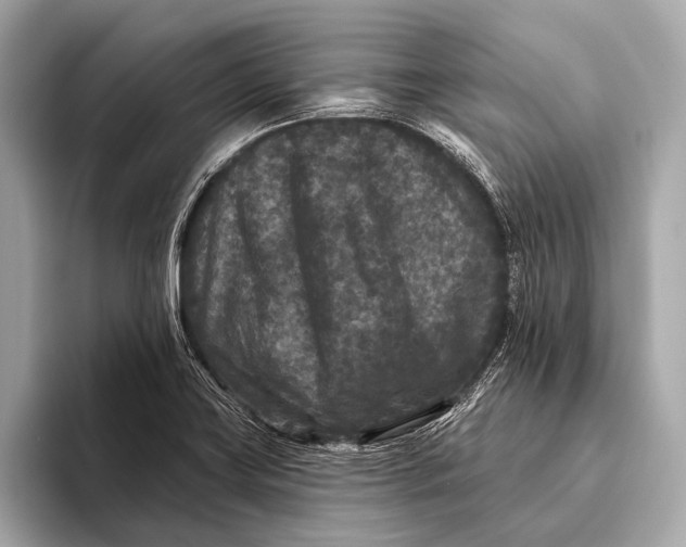 X0000093481419200711020925