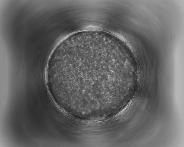 X0000093481421200711020925