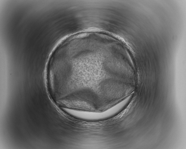 X0000093481422200711020925