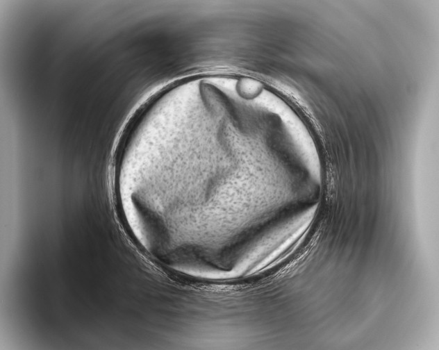 X0000093481424200711020925