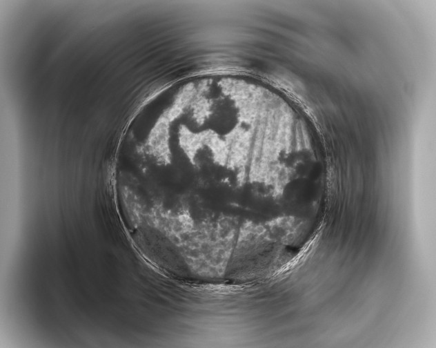 X0000093481425200711020925