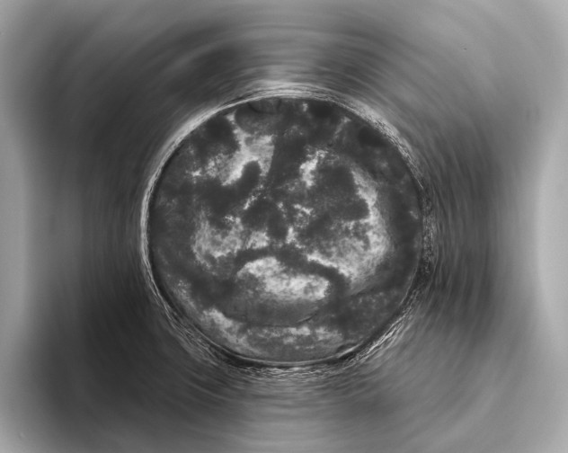 X0000093481427200711020925