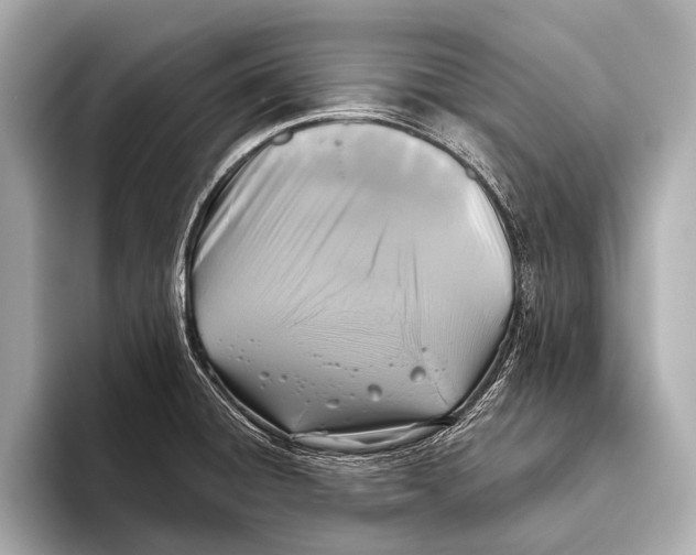 X0000093481428200711020925
