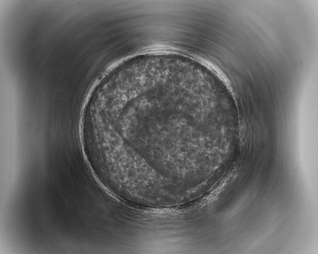 X0000093481429200711020925