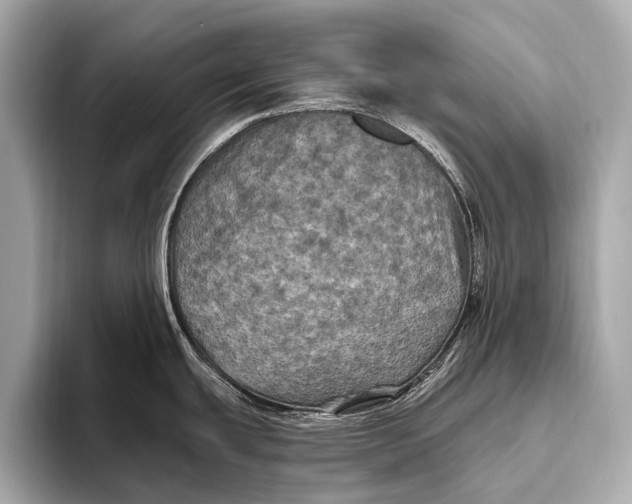 X0000093481439200711020925
