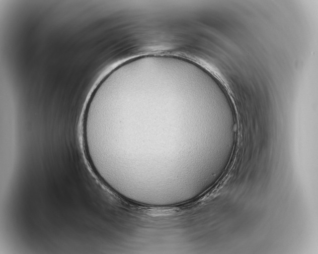 X0000093481440200711020925