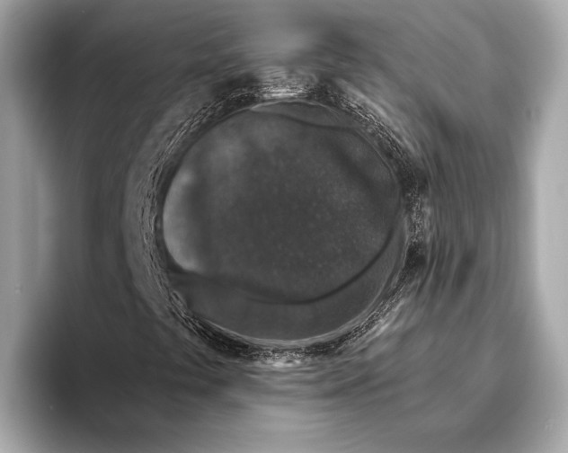 X0000093481441200711020925