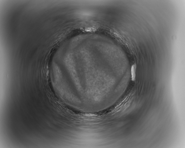 X0000093481443200711020925