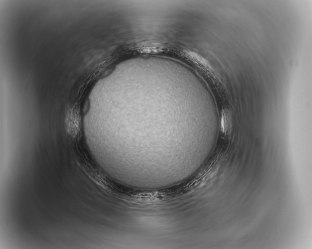 X0000093481444200711020925