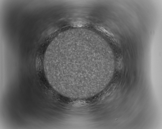 X0000093481446200711020925