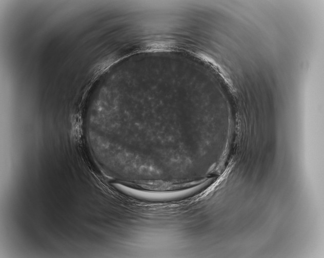 X0000093481449200711020925