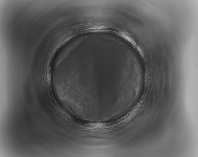 X0000093481450200711020925