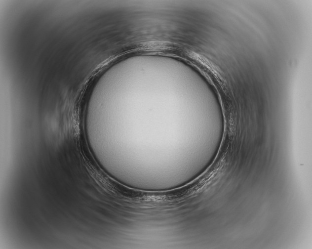 X0000093481451200711020925