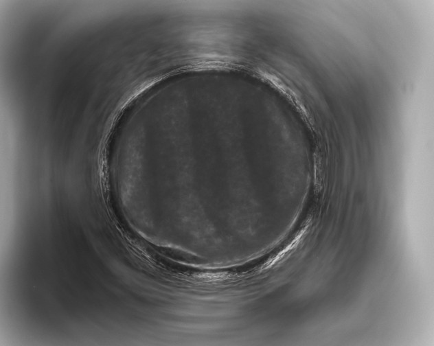 X0000093481453200711020924