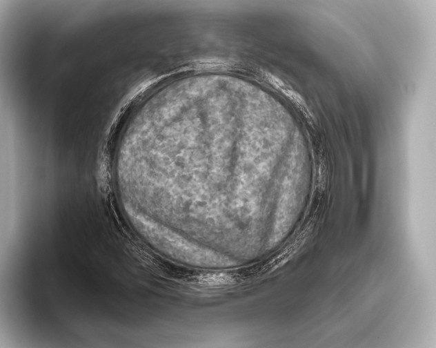 X0000093481454200711020924