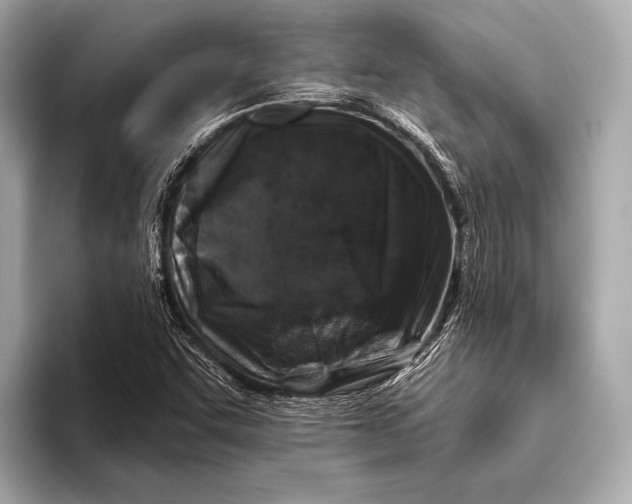 X0000093481455200711020924