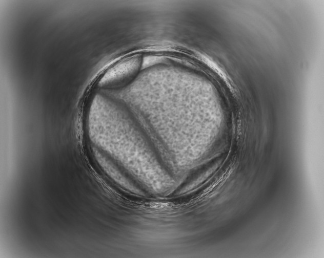 X0000093481456200711020924
