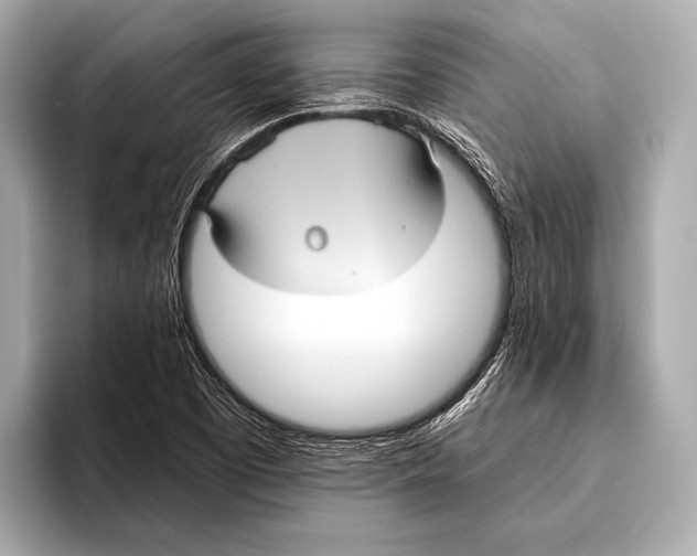 X0000093481457200711020924