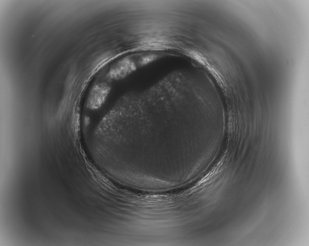 X0000093481459200711020924