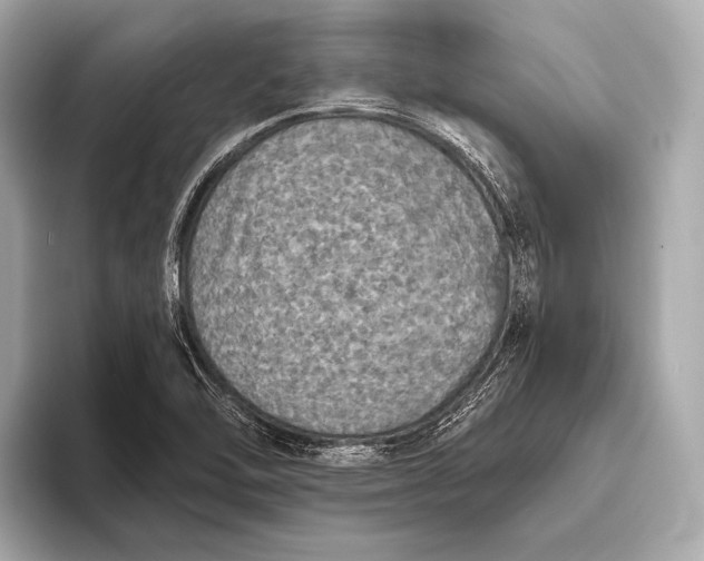 X0000093481462200711020924