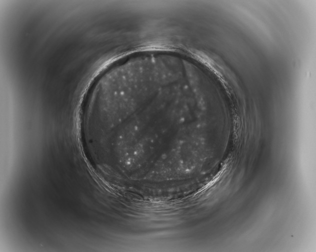 X0000093481463200711020924
