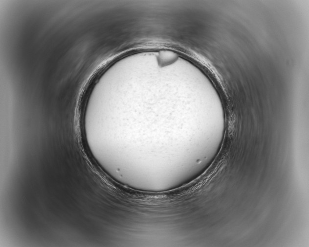 X0000093481464200711020924