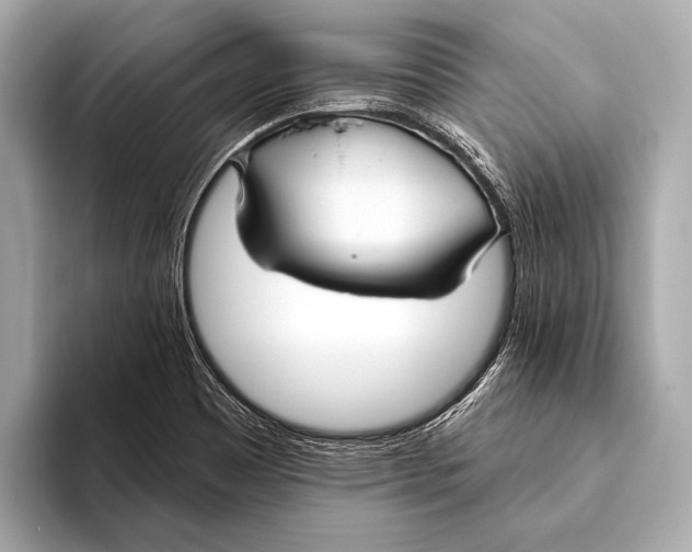 X0000093481465200711020924