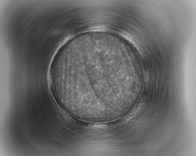 X0000093481466200711020924