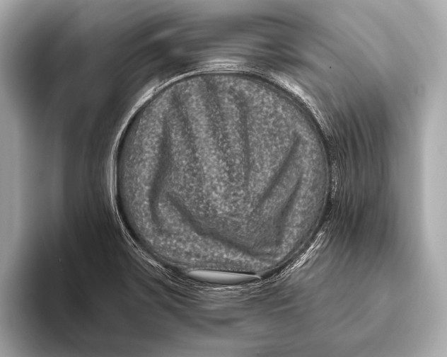X0000093481467200711020924